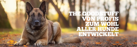 THE GOODSTUFF Hunde Nassfutter