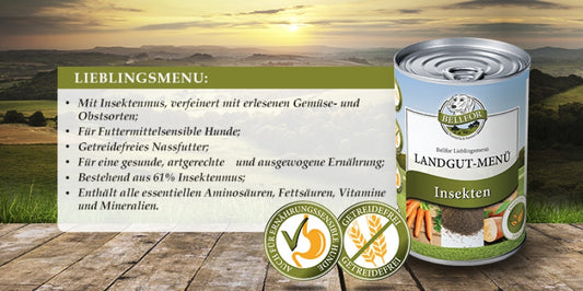 BELLFOR Nassfutter Hunde