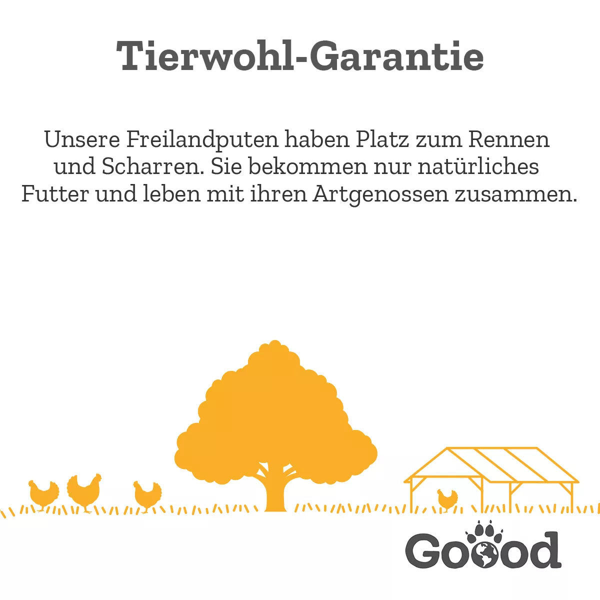 GOOOD Senior - Freilandpute & Nachhaltige Forelle, 400g Dose